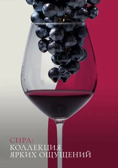 Сира: коллекция ярких ощущений Сира: коллекция ярких ощущений