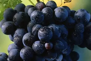 Марселан Марселан