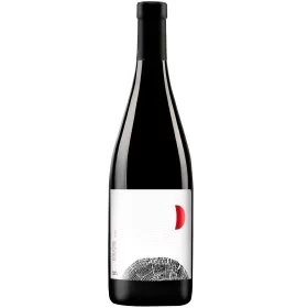 Вино Aya Organic Wine EVOLUTION «Пино Нуар» Вино Aya Organic Wine EVOLUTION «Пино Нуар»