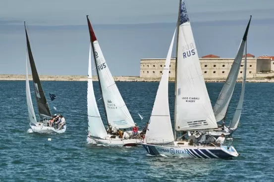 Первая ZB Регата для рестораторов и сомелье Первая ZB Регата для рестораторов и сомелье