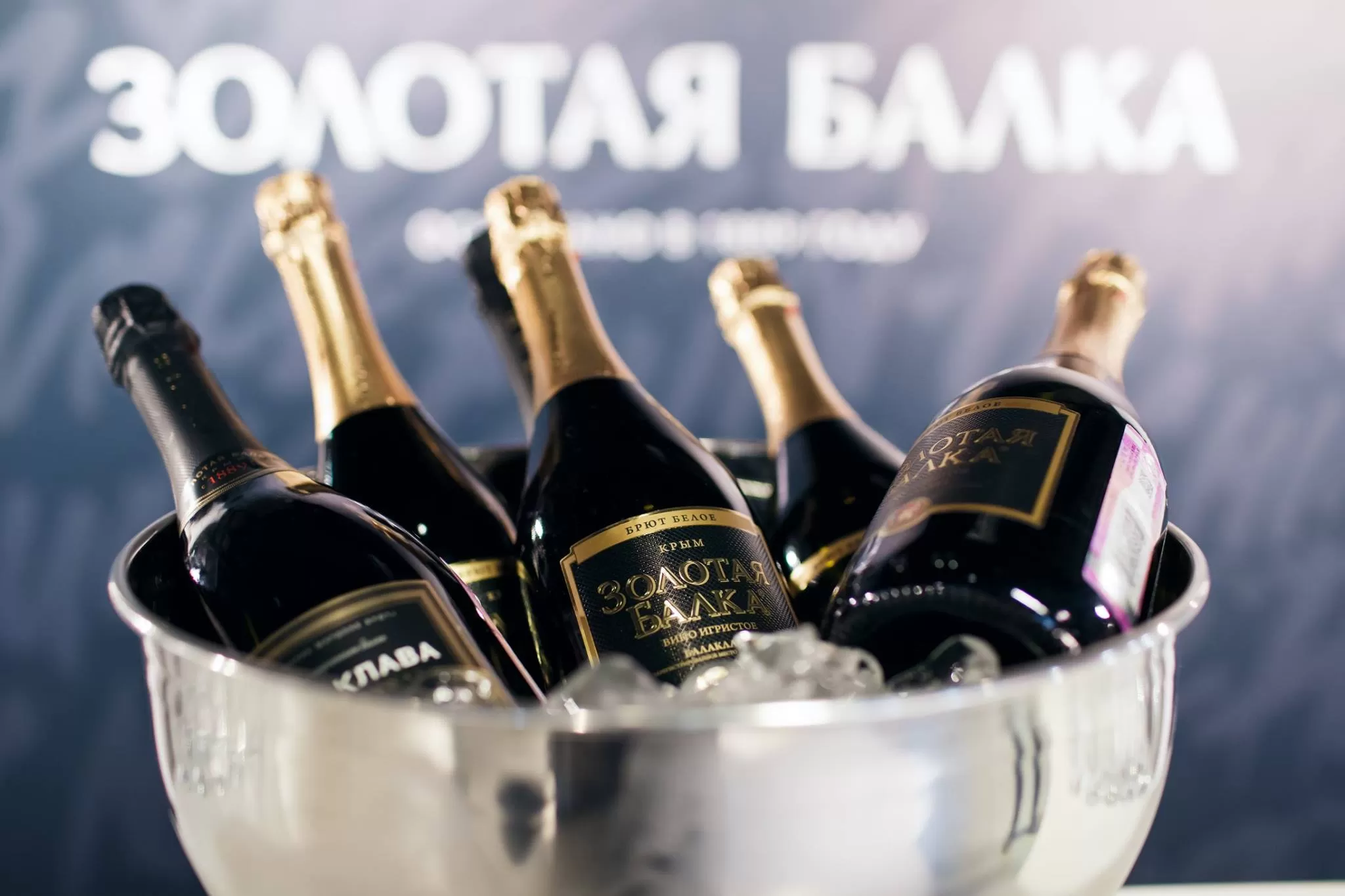 Презентация книги Елены Крыгиной