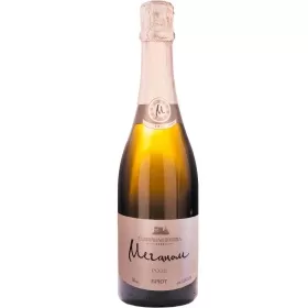 Вино игристое выдержанное ЗГУ Крым Солнечная Долина МЕГАНОМ РОЗЕ Вино игристое выдержанное ЗГУ Крым Солнечная Долина МЕГАНОМ РОЗЕ