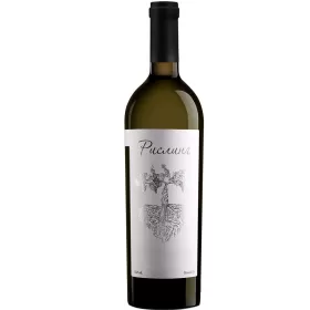 Вино ЗГУ Кубань Gunko Winery РИСЛИНГ Вино ЗГУ Кубань Gunko Winery РИСЛИНГ