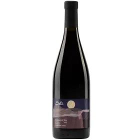 Вино игристое Aya Organic Wine MARQUETRY «Сира, Каберне Фран, Мерло»
