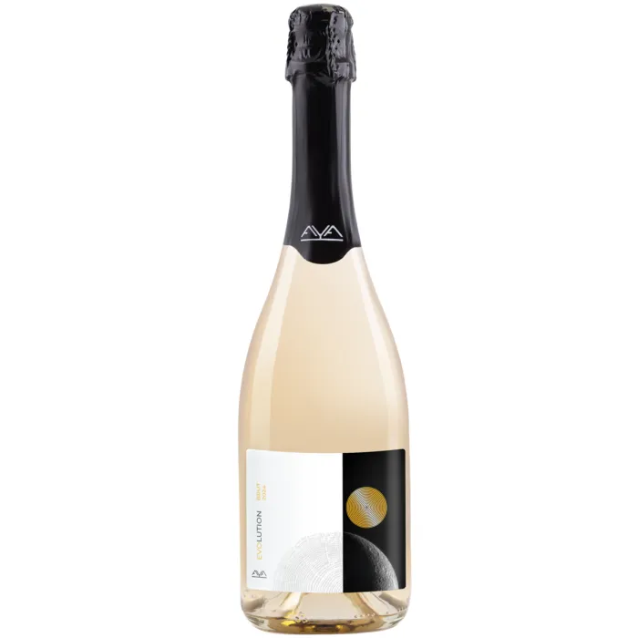 Вино игристое Aya Organic Wine EVOLUTION «Пино Нуар»