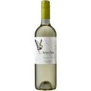 Вино SAUVIGNON BLANC AVES DEL SUR Вино SAUVIGNON BLANC AVES DEL SUR