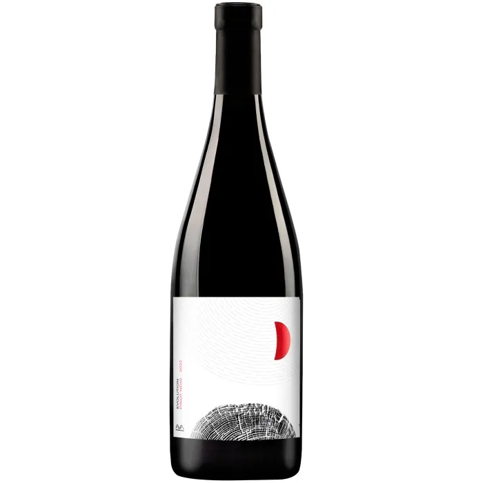 Вино Вино Aya Organic Wine EVOLUTION «Пино Нуар», , цена и отзывы Вино Вино Aya Organic Wine EVOLUTION «Пино Нуар»,